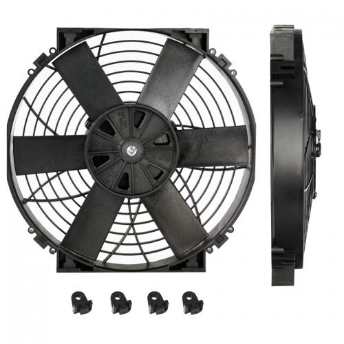 Image_1