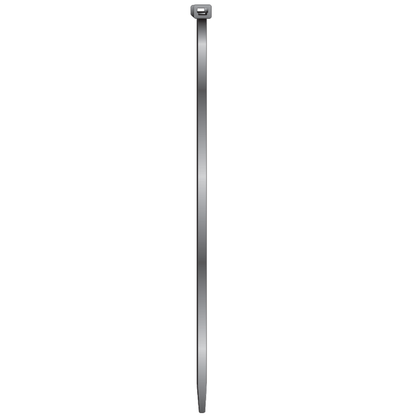 Image_1