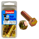 Champion UNC Bolts & Nuts Pack - BC55