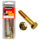 Champion UNF Bolts & Nuts Pack - BF29