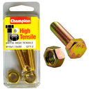 Champion Metric Bolts & Nuts Pack - BM110