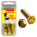 Champion Metric Bolts & Nuts Pack - BM125