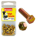 Champion Metric Bolts & Nuts Pack - BM12