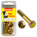 Champion Metric Bolts & Nuts Pack - BM131