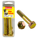 Champion Metric Bolts & Nuts Pack - BM135