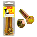 Champion Metric Bolts & Nuts Pack - BM136