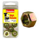 Champion M10 x 1.00 Metric Nuts Pack - BM165