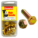 Champion Metric Bolts & Nuts Pack - BM21