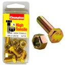 Champion Metric Bolts & Nuts Pack - BM45
