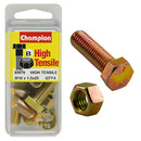 Champion Metric Bolts & Nuts Pack - BM79