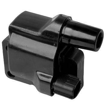 Image_1