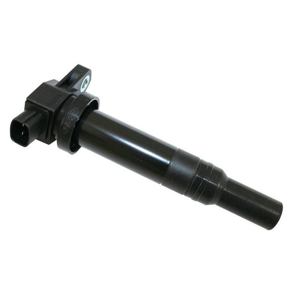Image_1