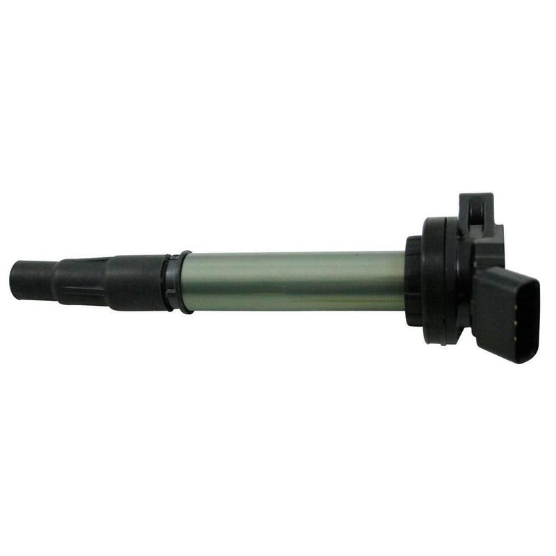 Image_1