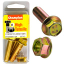 Champion Metric Flange Bolts & Nuts Pack - FBM107