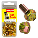 Champion Metric Flange Bolts & Nuts Pack - FBM12