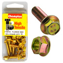 Champion Metric Flange Bolts & Nuts Pack - FBM14