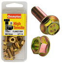 Champion Metric Flange Bolts & Nuts Pack - FBM21