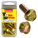 Champion Metric Flange Bolts & Nuts Pack - FBM47