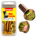 Champion Metric Flange Bolts & Nuts Pack - FBM55