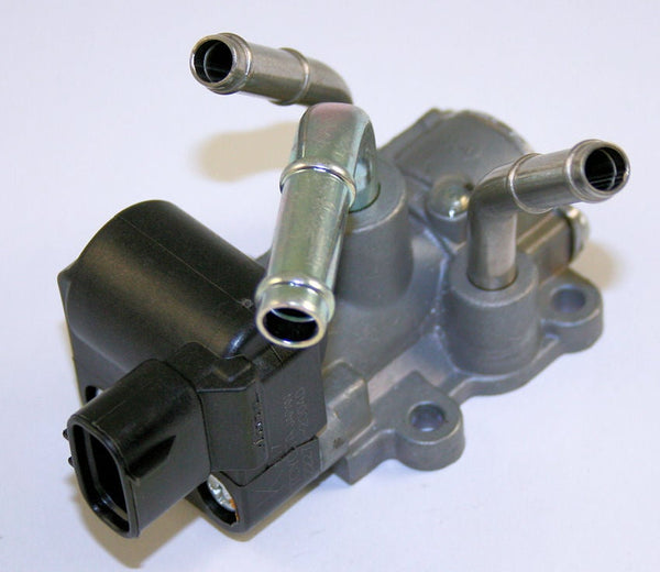 Image_1