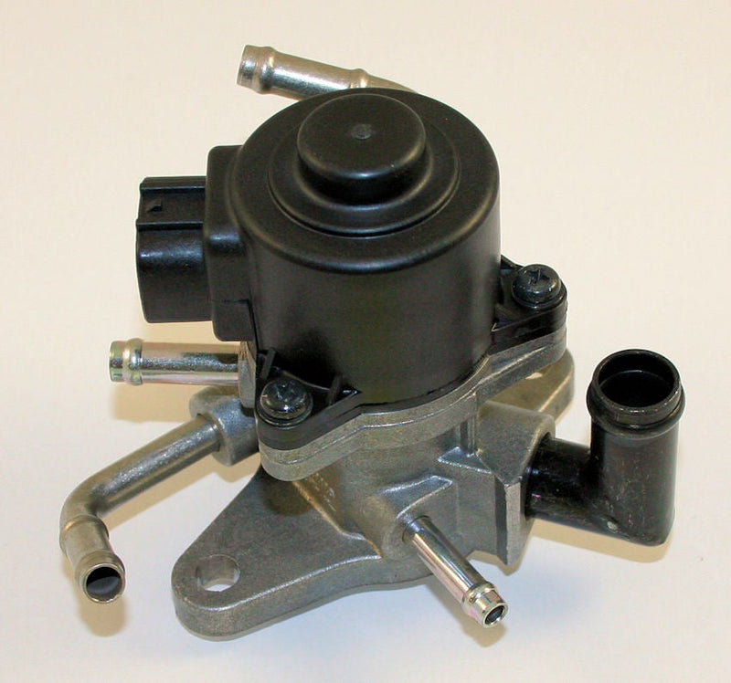 Image_1