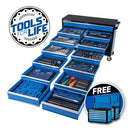 KINCROME - 494P TFL EVOLUTION TR DEEP 13D