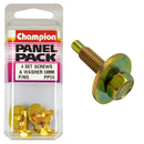 Champion Hex Set Screw - PP50