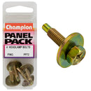 Champion Hex Set Screw - PP72