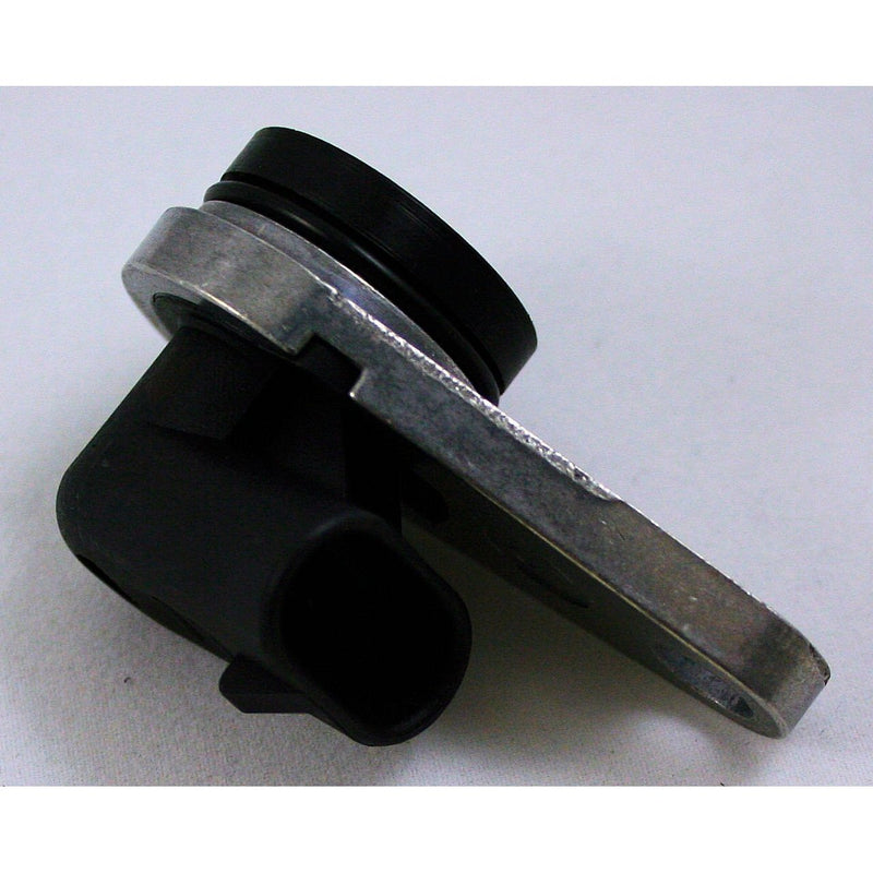 Image_1