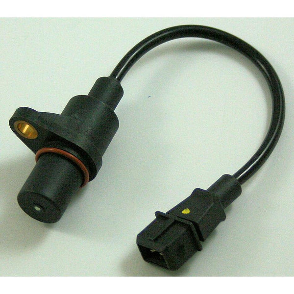 Image_1
