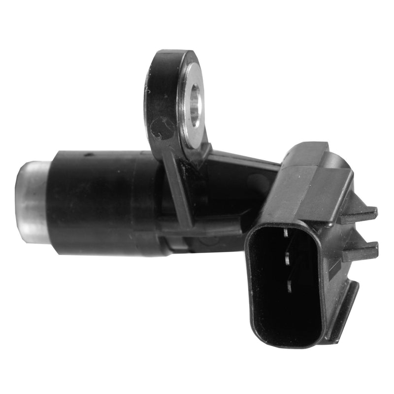 Image_1