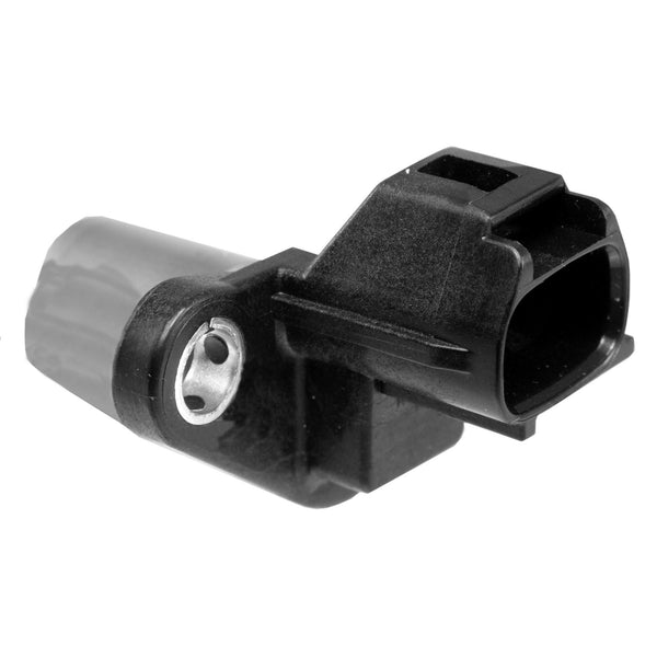 Image_1