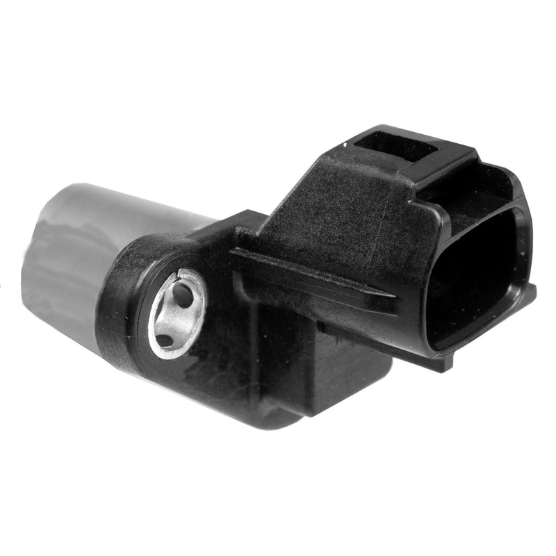 Image_1