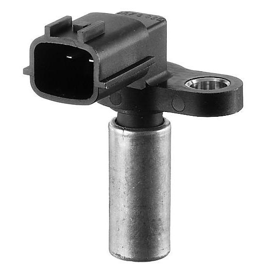 Image_1