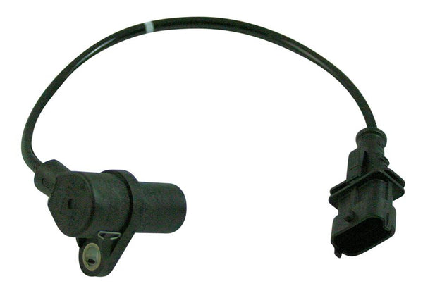 Image_1
