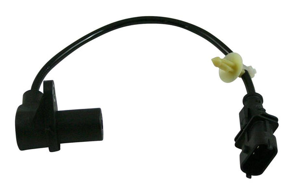 Image_1