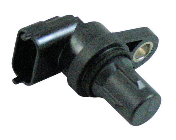 Image_1