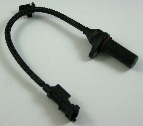 Image_1
