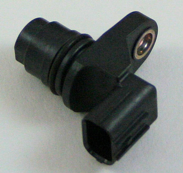 Image_1
