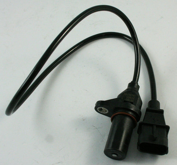 Image_1