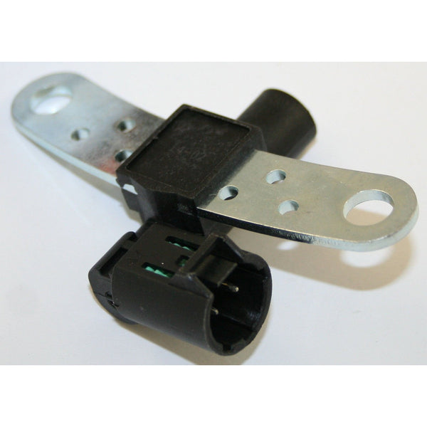 Image_1