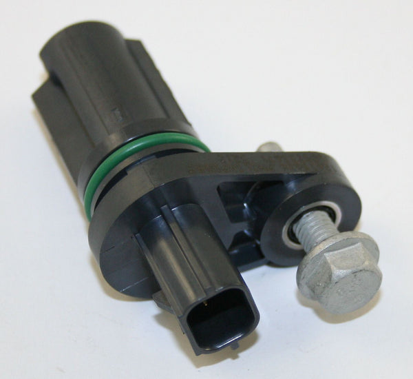 Image_1
