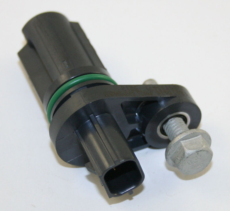 Image_1