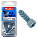Champion UNC Socket Head Cap Screw Pack - SHC17