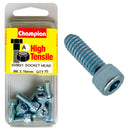 Champion Metric Socket Head Cap Screw Pack - SHM21