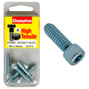 Champion Metric Socket Head Cap Screw Pack - SHM25