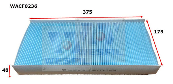 Image_1