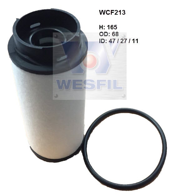 Image_1