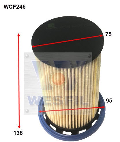 Image_1