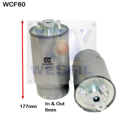 Image_1